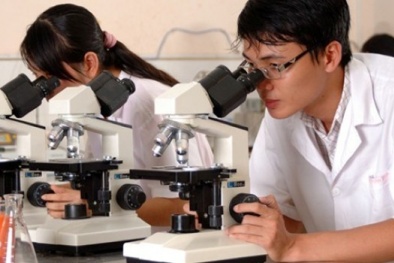 DN sẽ trích tối đa 10% để lập quỹ phát triển khoa học và công nghệ