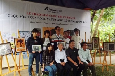 Sống động cuộc thi vẽ tranh về cuộc sống của động vật hoang dã