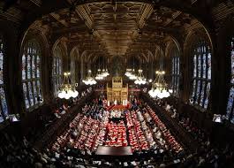 Hoàng gia Anh sẽ thiết lập đội quân mèo vì chuột quấy rối