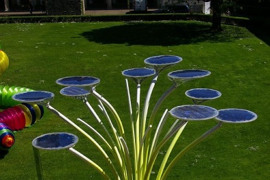 Cây pin năng lượng mặt trời có thể phát wifi được 'trồng' ở Israel 