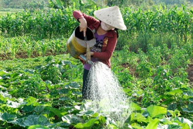 Những tỷ phú nông dân bày cách thành công