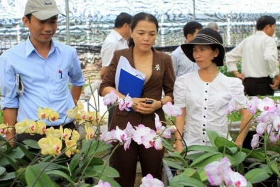 Phó Thủ tướng Vũ Đức Đam kể chuyện con gà nghe nhạc cho trứng năng suất cao