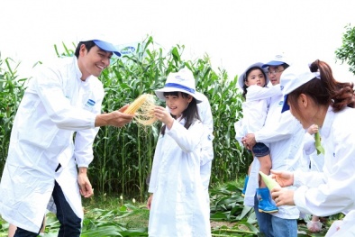 Gia đình MC Phan Anh và BTV Hoài Anh 'quậy' từng bừng tại trang trại bò sữa của Vinamilk