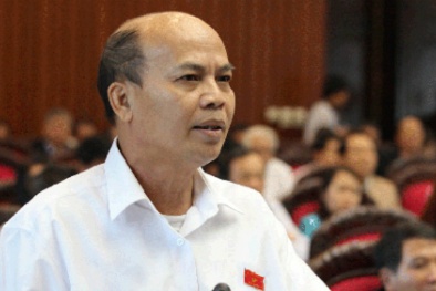 Đại biểu Quốc hội hiến kế tăng lương