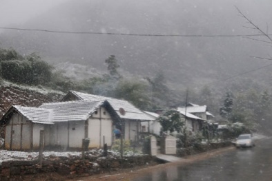 Sapa năm nay vẫn có tuyết rơi?