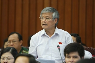 Việt Nam cần có mô hình phát triển phù hợp