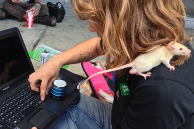 Người vô gia cư ở Mỹ sử dụng đồ công nghệ như thế nào?