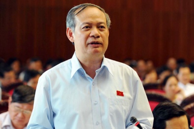 Ông Đinh Xuân Thảo: Khi phát biểu, có một số đại biểu nói như đùa