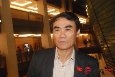 Vì sao có nhiều cấp phó?