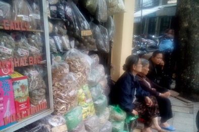 80% dược liệu trên phố Lãn Ông không có nguồn gốc
