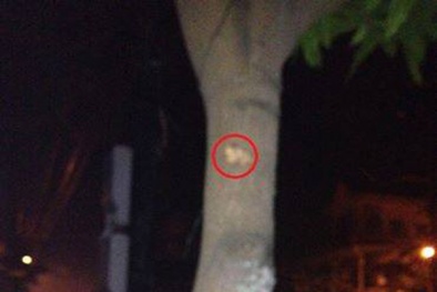 NÓNG: Đấu súng kinh hoàng trong đêm ở Nghệ An, 3 người thương vong