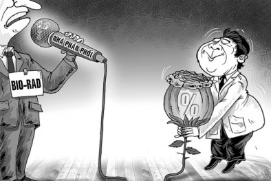 Chánh thanh tra Bộ Y tế nói gì về cáo buộc hối lộ quan chức trong ngành?