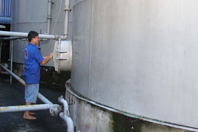 Dầu mỡ bẩn xuất ngoại bằng con đường nào?