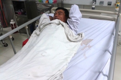 Suýt mất mạng vì dùng cà độc dược