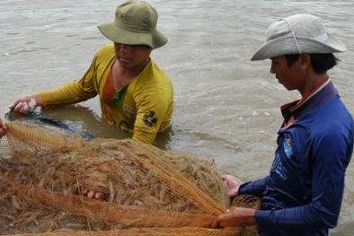 Năm nay, kim ngạch xuất khẩu thuỷ sản có thể đạt 7 tỷ USD