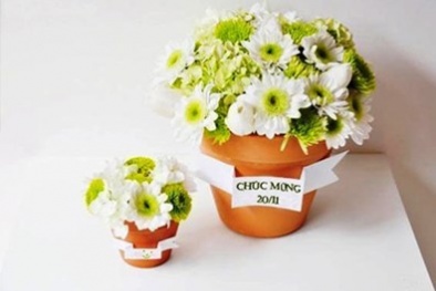 Cách cắm hoa cúc giản dị, thanh tao tặng thầy cô ngày 20/11 