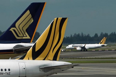 Hàng không giá rẻ TigerAir khiến Singapore Airline thất thu 