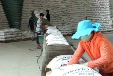 Thị trường nông nghiệp Việt Nam đầy tiềm năng