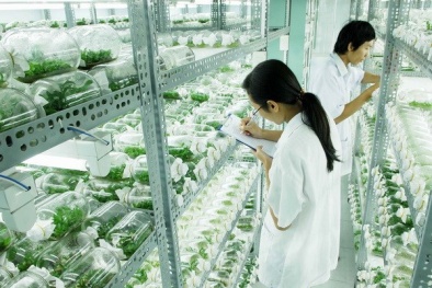 Tin tức khoa học công nghệ mới nhất hôm nay ngày 10/11