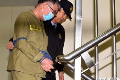 Tin tức thời sự mới nhất hôm nay ngày 12/11