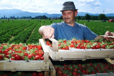 Tình hình Ukraine: EU không tăng thêm lệnh trừng phạt với Nga