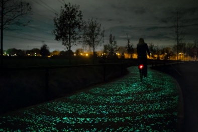 Bí mật con đường tự phát sáng lấp lánh trong đêm ở Hà Lan