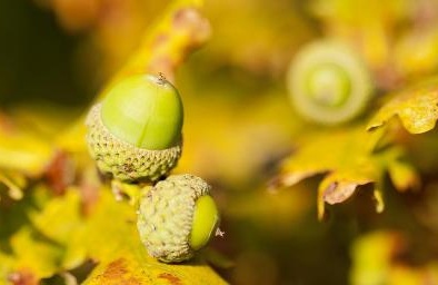 Những sắc màu tuyệt đẹp của thiên nhiên