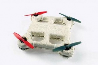 Máy bay do thám từ vật liệu sinh học tự hủy độc đáo