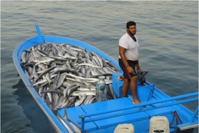 Kinh nghiệm nâng cao năng suất ngành thủy sản từ California