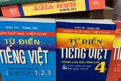 Thu hồi 8 cuốn từ điển tiếng Việt trên toàn quốc