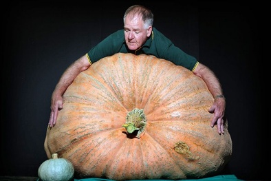 Thưởng thức rau quả khổng lồ tại nước Anh