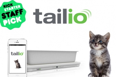 Tailio- Chiếc hộp thông minh theo dõi sức khỏe những chú mèo