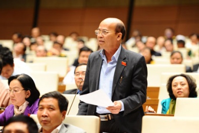 Tìm mộ liệt sĩ: Người nhà của đại biểu cũng bị lừa đảo