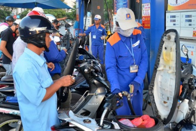 Tin tức thời sự mới nhất hôm nay ngày 22/11