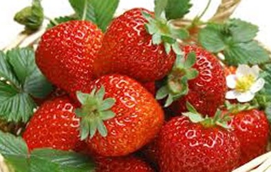 Táo, nho, dâu tây có thể trị nhồi máu cơ tim