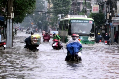 Dự báo thời tiết hôm nay 24/11: Cảnh báo mưa lớn và triều cường tại Nam Bộ 