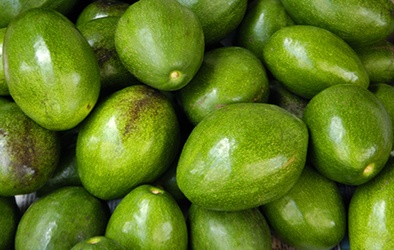 Mỹ thu hồi bơ sáp nhiễm khuẩn nguy hiểm