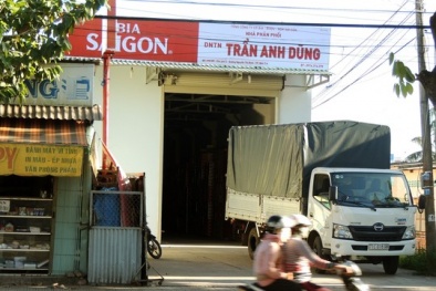 Tin tức thời sự mới nhất hôm nay ngày 24/11