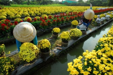 Trình hai phương án nghỉ Tết Nguyên đán 7 hoặc 9 ngày
