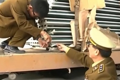 Đại gia tôn Việt 'méo mặt' với nạn tôn Trung Quốc “nhái” thương hiệu