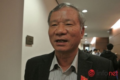 Dự án TQ trên núi Hải Vân: Thừa Thiên Huế có bị “truy” trách nhiệm?