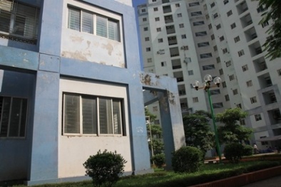 Sẽ thu hồi căn hộ tái định cư đối với hộ “chây ì” nộp tiền