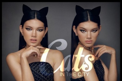 Chung Thanh Phong tung bằng chứng bác thông tin đạo ý tưởng của Đỗ Mạnh Cường