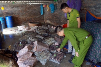 Cảnh sát chặn nửa tấn mực bẩn sắp vào nhà hàng