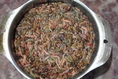 Rươi tươi 400.000 đồng/kg đắt hàng ở chợ quê