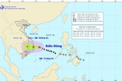 Tối nay bão số 4 đổ bộ vào Khánh Hòa, Phú Yên