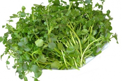 Cải xoong và công dụng chữa bệnh kỳ diệu