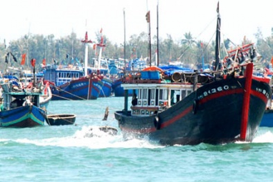 Tin mới nhất về bão số 4: Các tỉnh từ Quảng Trị đến Phú Yên đã cảm nhận được bão tới