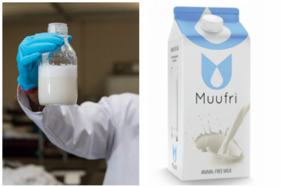 Sản xuất thành công sữa nhân tạo