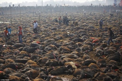 Đọc báo hôm nay: Những tin tức mới nóng nhất ngày 30/11